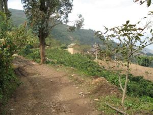 鍋底塘自然村 鍋底塘自然村