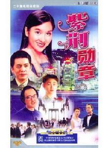 紫荊勳章[潘小揚執導電視劇]