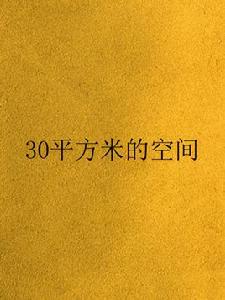 30平方米的空間 30平方米的空間