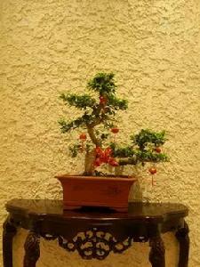 硅藻泥裝飾壁材 硅藻泥裝飾壁材