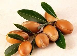 摩洛哥堅果 摩洛哥堅果