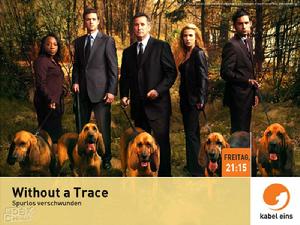 《尋人密探組》第4季 《尋人密探組》第4季