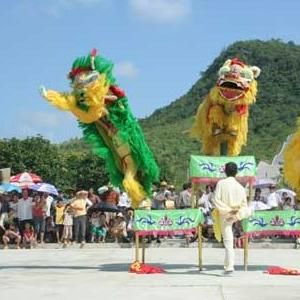 田陽壯族舞獅表演