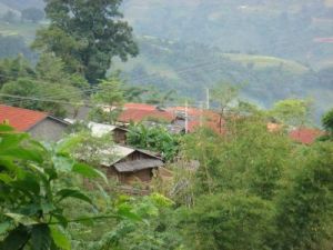 怕冷自然村 怕冷自然村