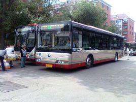 天津800路 天津800路