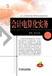 會計核算電算化