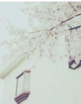 寫給你的情書[芷噯二的網路小說]