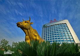 湘潭九華經濟區 湘潭九華經濟區