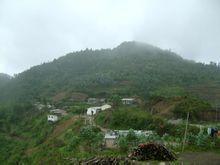 丁龍村[雲南綠春縣大水溝鄉下轄村]