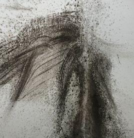 牆體黴菌 牆體黴菌