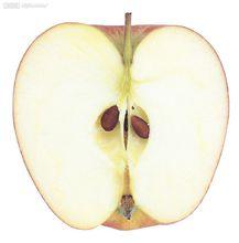 切開的蘋果