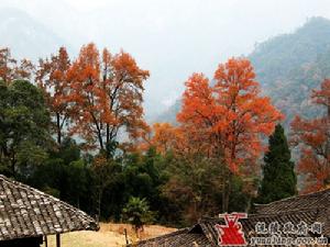 借母溪自然保護區