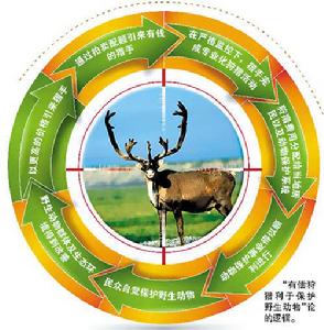 有償狩獵 有償狩獵