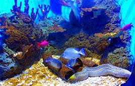 泉城海洋極地世界 泉城海洋極地世界