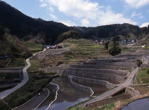 溫井溫泉 溫井溫泉