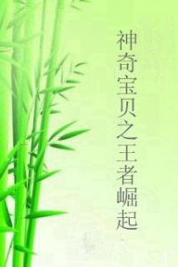 神奇寶貝之王者崛起 神奇寶貝之王者崛起