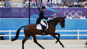 奧運會馬術比賽