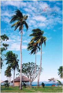 全球十大熱戀天堂