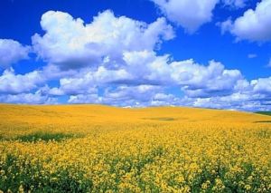 赤峰南山 赤峰南山