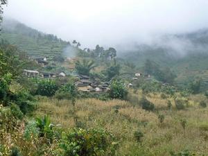 聶家自然村 聶家自然村