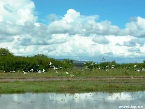 公平大湖自然保護區 公平大湖自然保護區