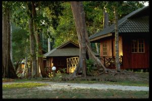 Pulau Tiga迪加島圖片欣賞