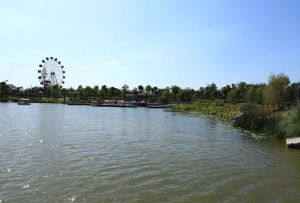 大豐東方濕地公園 大豐東方濕地公園