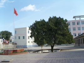 通渭縣李店中學 通渭縣李店中學