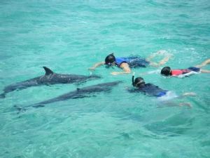 民答那峨島 民答那峨島