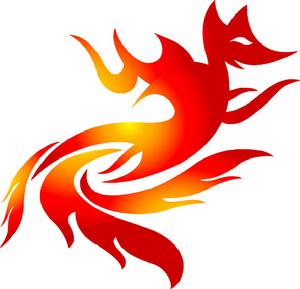 高密市九尾狐網路技術有限公司 高密市九尾狐網路技術有限公司