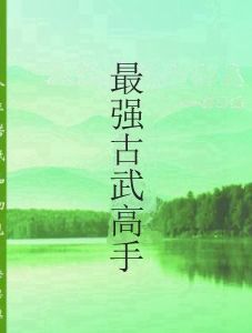 最強古武高手 最強古武高手