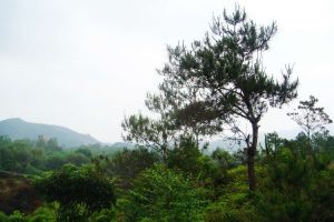 後陂村 後陂村