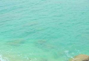 正常淺灘 正常淺灘