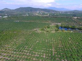 南田農場 南田農場