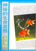 神秘的生命藍圖 神秘的生命藍圖