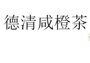 德清鹹橙茶 德清鹹橙茶