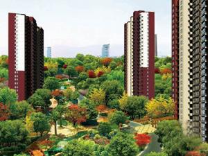 金陽瑞景 金陽瑞景