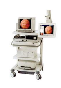 內窺鏡下取胚術 內窺鏡下取胚術