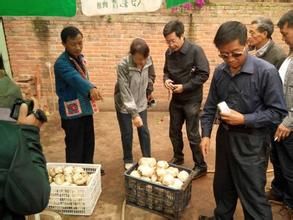 黑納依村 黑納依村