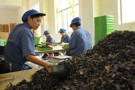 川珍實業有限公司 川珍實業有限公司