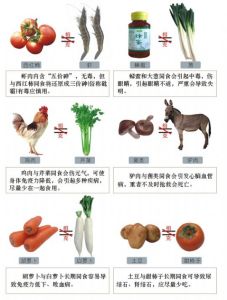 食物相反