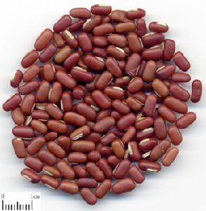 花生赤豆棗蒜湯