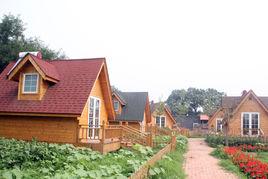 南苑村[北京豐臺區南苑鄉下轄村]