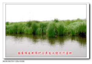 (圖)撓力河國家級自然保護區