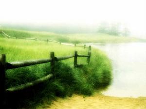 民主自決權 民主自決權