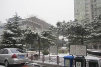 人民日報社家屬區 人民日報社家屬區