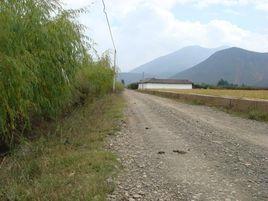 泥鰍溝村 泥鰍溝村