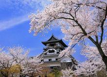 愛知縣的犬山城