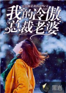 我的冷傲總裁老婆 我的冷傲總裁老婆