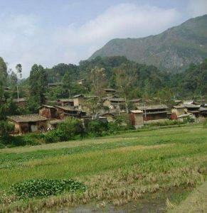 丫堵新寨村 丫堵新寨村